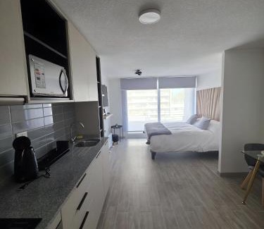 Downtown Santiago Apartment | Departamento en Santiago, Parque O'higgins, Movistar Arena con terraza