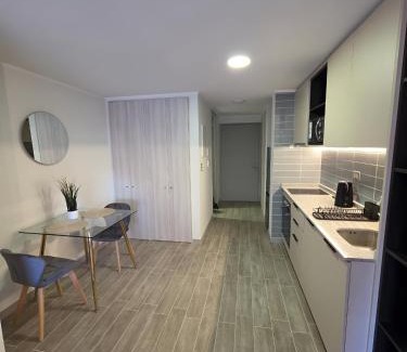 Downtown Santiago Apartment | Departamento en Santiago, Parque O'higgins, Movistar Arena con terraza