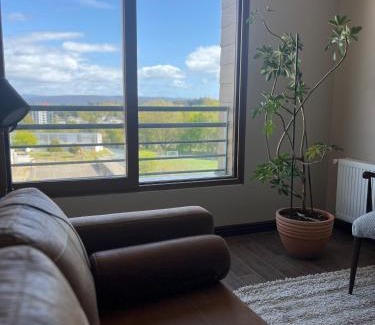 Valdivia Apartment | Departamento equipado Isla Teja