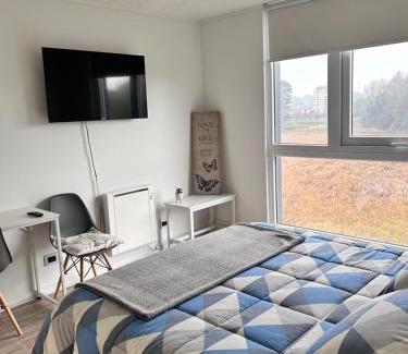 Valdivia Apartment | Departamento estudio Isla Teja