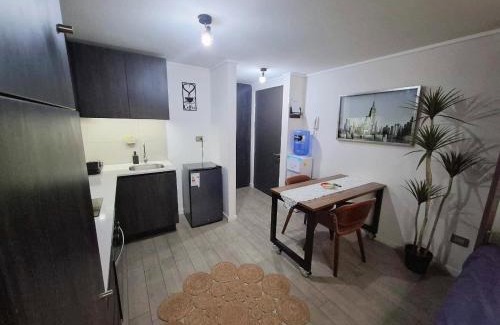 Downtown Santiago Apartment | Departamento Estudio Santiago