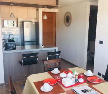 Concepcion Apartment | Departamento Freire 1062