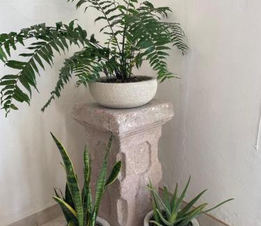 Colonia Centro Apartment | Departamento Julieta
