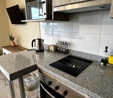 Osorno Apartment | Departamento Mono Ambiente