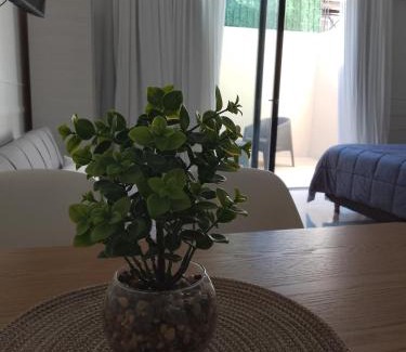 Gualeguaychu Apartment | Departamento monoambiente "Pellegrini' en el centro