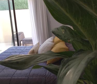 Gualeguaychu Apartment | Departamento monoambiente "Pellegrini' en el centro