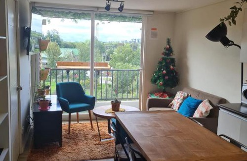 Osorno Apartment | Departamento Osorno 215