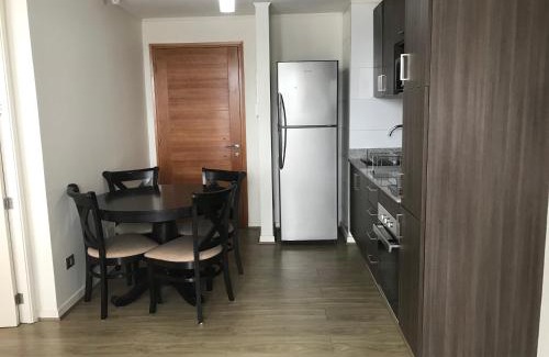 Valdivia Apartment | Departamento Rio Calle Calle