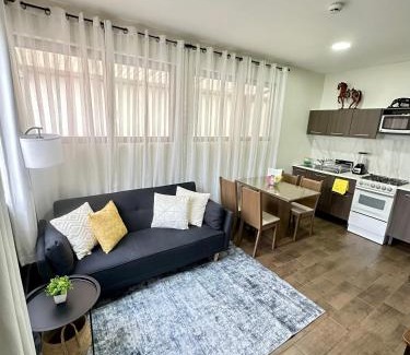 Roma Sur Apartment | Departamento Roma 1 CDMX