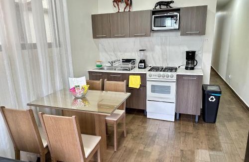 Roma Sur Apartment | Departamento Roma 1 CDMX