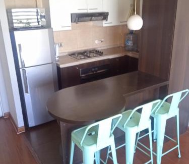Bellavista Apartment | Departamento Santiago Centro