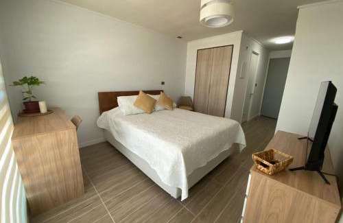 Valdivia Apartment | Departamento Studio Isla Teja