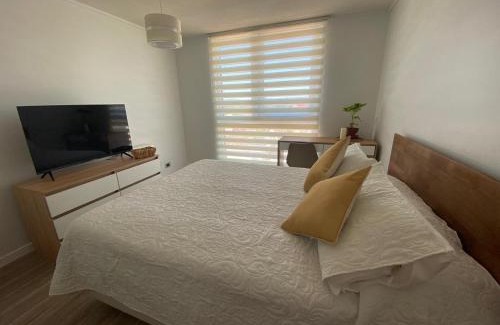 Valdivia Apartment | Departamento Studio Isla Teja