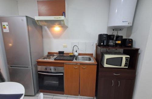 Downtown Santiago Apartment | Departamento tipo estudio, cercano al Movistar Arenas y Teatro Caupolican