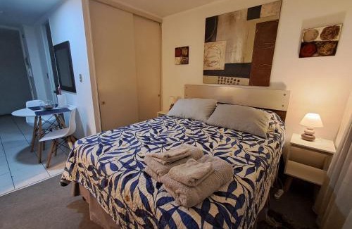 Downtown Santiago Apartment | Departamento tipo estudio, cercano al Movistar Arenas y Teatro Caupolican