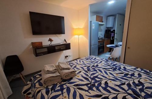 Downtown Santiago Apartment | Departamento tipo estudio, cercano al Movistar Arenas y Teatro Caupolican