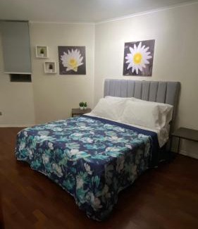 Bellas Artes Apartment | Departamento un dormitorio amoblado Santiago centro