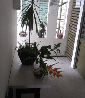 Palenque Apartment | Departamentos de la Reina Roja