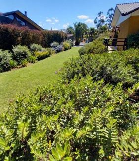 Algarrobo Apartment | Departamentos y Cabañas Il Bosco