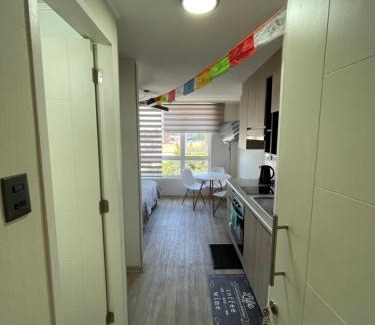 Chillan Apartment | DEPTO. CENTRICO EN CHILLÁN CON ESTACIONAMIENTO