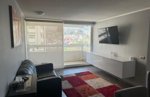 Vina del Mar Apartment | Depto Centro Viña