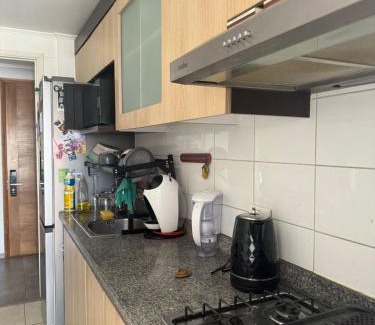 Vina del Mar Apartment | Depto Centro Viña
