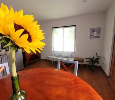 Santa Lucia Apartment | Depto. Iquique