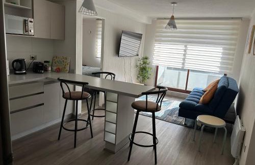 Chillan Apartment | Depto Nuevo Chillan Centro 2D-2B-E privado