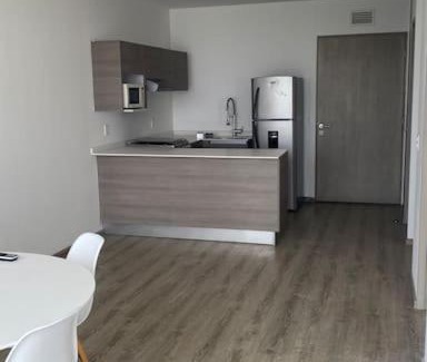 Monterrey Municipality Apartment | Depto Nuevo sur