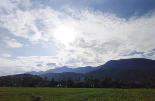 Kampung Sungai Raga House | Desa