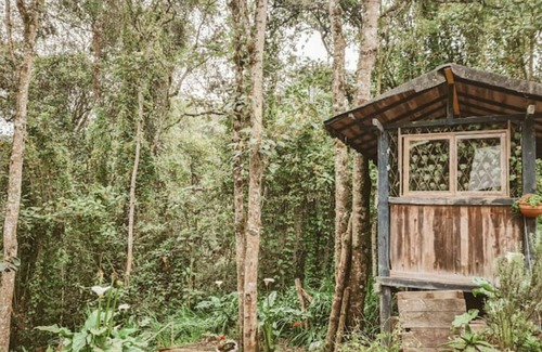 Medellin Cabin | Desconectarte Para Conectarte