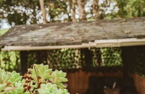 Medellin Cabin | Desconectarte Para Conectarte