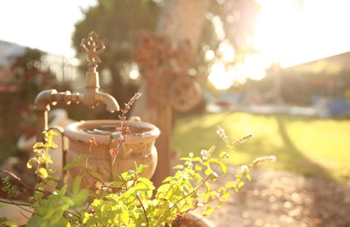 Arad Villa | Desert Bird Guest House
