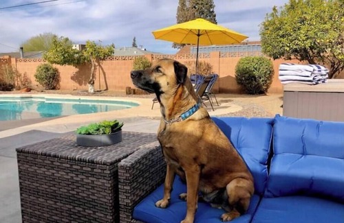 Cox Heights House | Desert Jewel. Heated Pool + Hot Tub + Game Room. Sleeps 12. Old Town Scottsdale