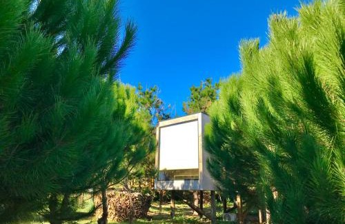 Gafanha do Carmo House | Desertas Beach and Sport