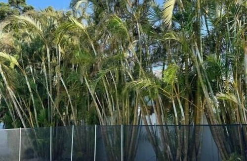 Memphis House | Designer 2BR Retreat + Private Pool!