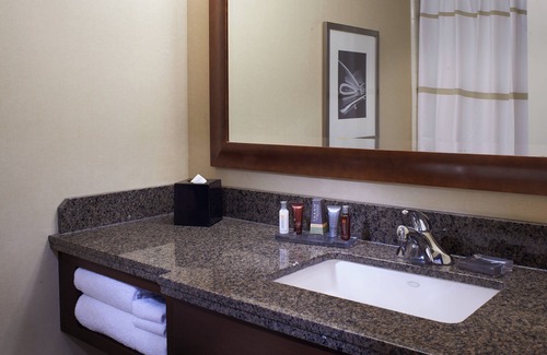 Downtown Detroit Hotel | Detroit Marriott at the Renaissance Center