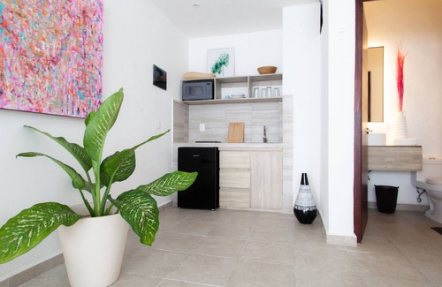 Ejidal Hotel | Dewl Studios & Residences - The Kahlo