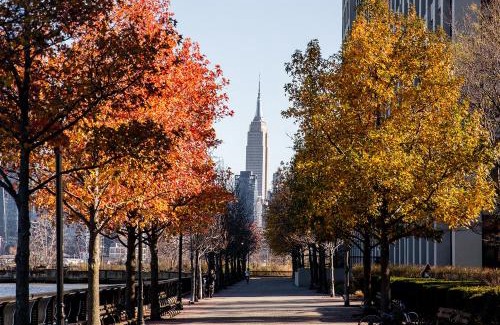 Hoboken Apartment | Dharma Home Suites Hoboken