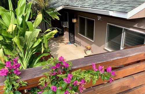 Diamond Head - Kapahulu - St. Louis Apartment | Diamond Head/Waikiki Surf Shack 2-Bedroom Private Ohana Unit