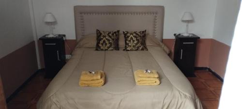 Mendoza City Center Apartment | DIANA