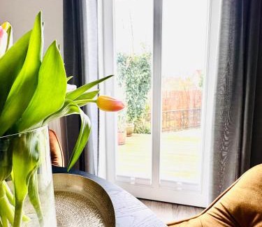 Stade Apartment | Die Stader Oase mit Sonnenterrasse