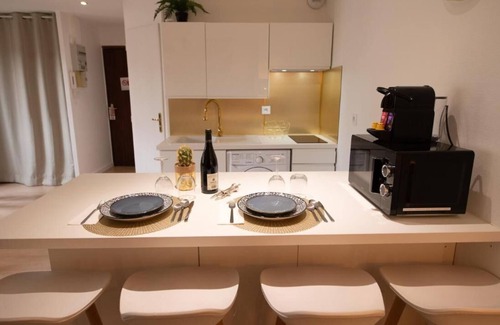 Faubourg Sud Apartment | Dijon Hyper Centre : Apartment 41m² Facing Museum, Monuments and Restaurants