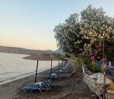 Karvelas Apartment | Dimitris rooms kamares 1