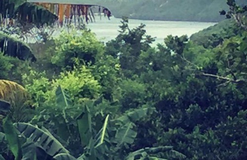 Mushroom Bay Resort | Dimol Garden Cottage Lembongan