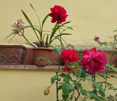 Isolotto House | Dimora Del Magnifico