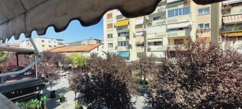 Elbasan Bed & Breakfast | Dinamo Bed&Breakfast
