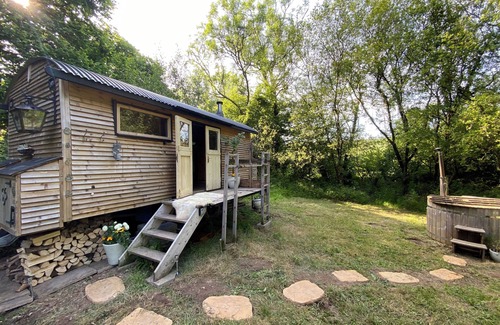 Liverton Cabin | Dingle Glenn secluded woodland cabin