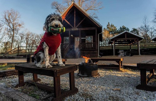Byrdstown House | Discover The Rockhouse: Your Gateway to Nature and Comfort