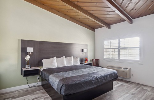 Seaside Hotel | Discovery Inn